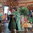 Праздник Пресвятой Троицы в храме свт. Митрофана Воронежского