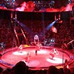 Дети из многодетных семей получили билеты в цирк