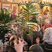 Вербное Воскресенье в храме Архистратига Божия Михаила в Царицыне