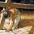 Смысл Страстей и Воскресения