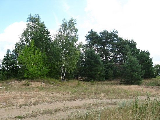 Жуков Борок. Справа – курган с возможными захоронениями, слева – остатки храма