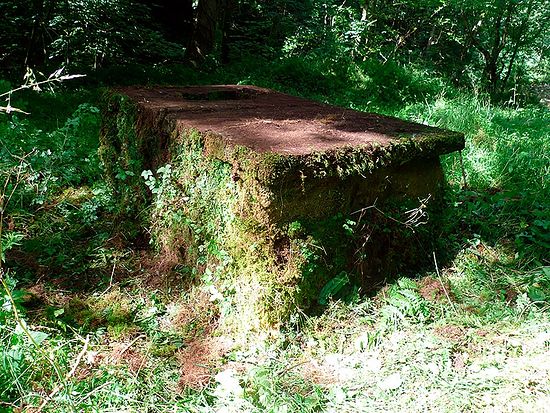 Святой источник в Шуорк-Куорри, Камбрия