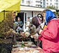 Благотворительная ярмарка "Нового урожая"