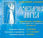 26 октября открывается XIV кинофестиваль «Лучезарный Ангел»