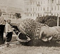 Об истоках революционной катастрофы 1917 года